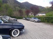 2019 - Jaguar in Friuli (27-28 Aprile) (5/29)